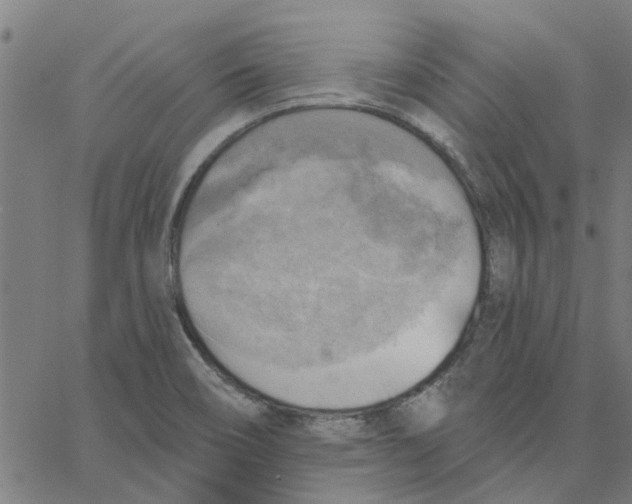 X0000067511466200604281556