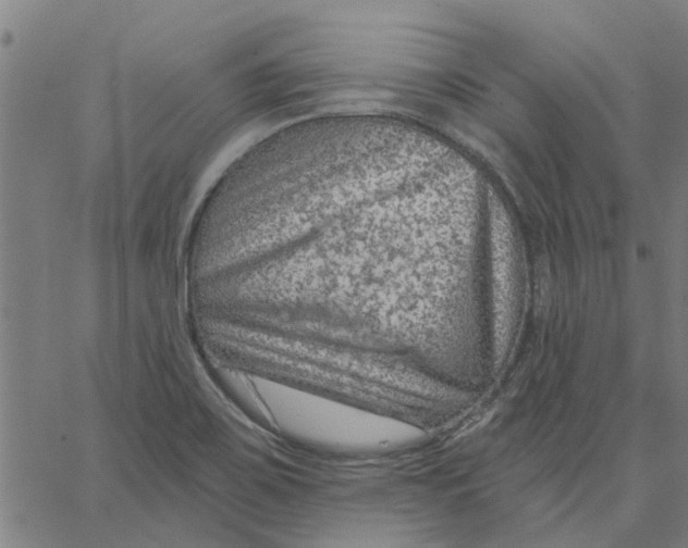 X0000067511467200604281556