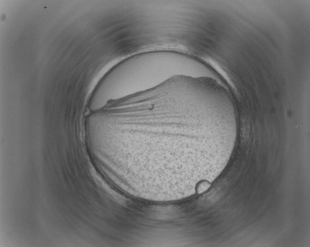 X0000067511468200604281556