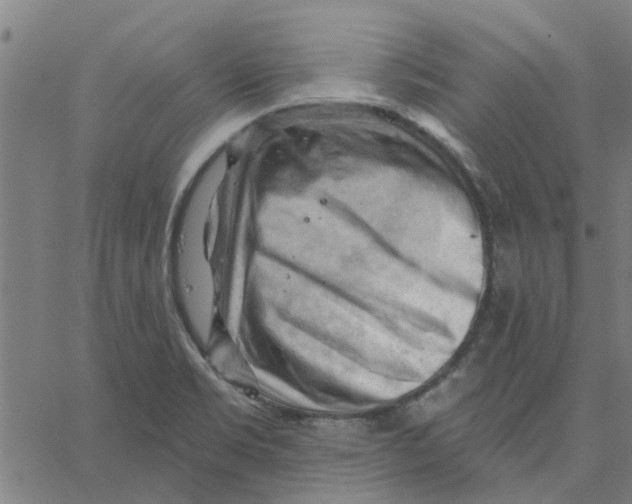 X0000067511469200604281556