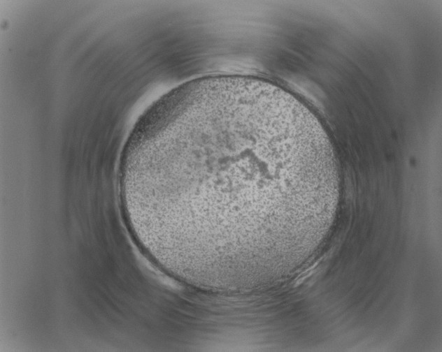 X0000067511471200604281556