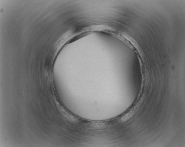 X0000067511473200604281556