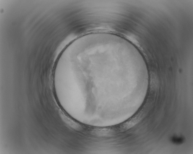 X0000067511474200604281556