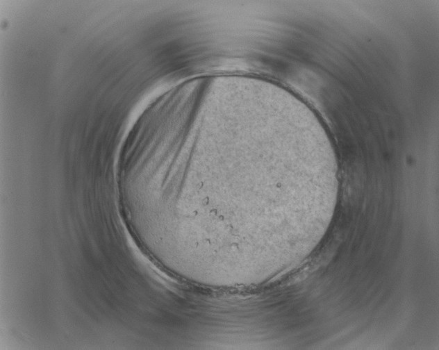 X0000067511475200604281556