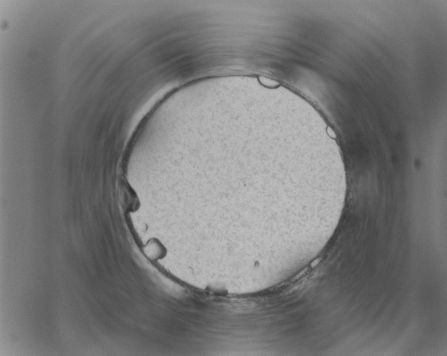 X0000067511476200604281556