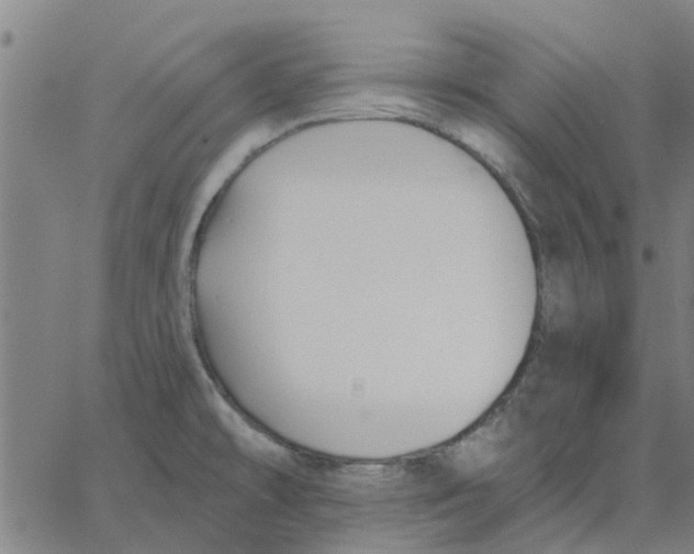 X0000067511478200604281555