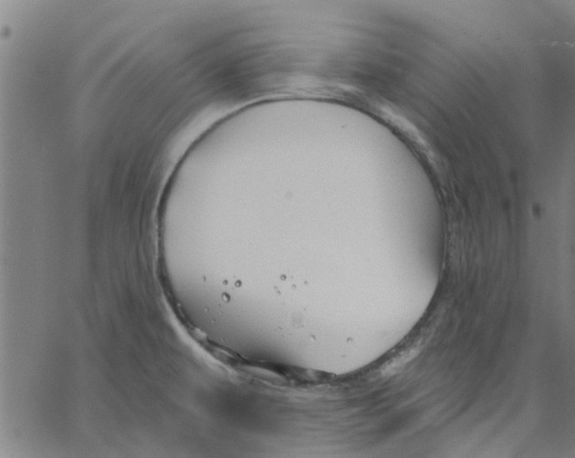 X0000067511479200604281555