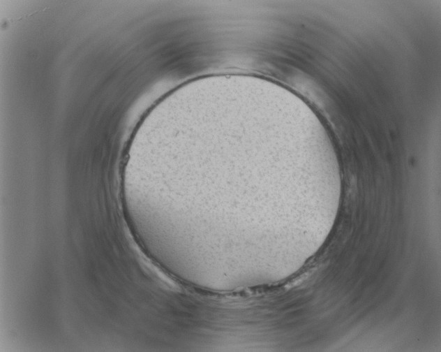 X0000067511480200604281555