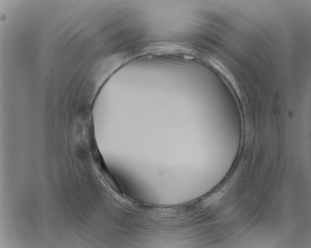 X0000067511481200604281555