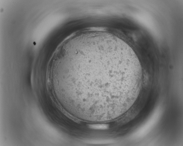 X0000067511487200604281555