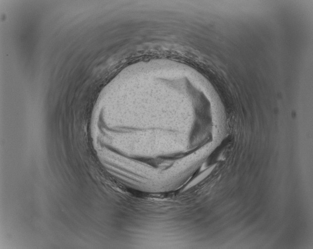 X0000067511489200604281555