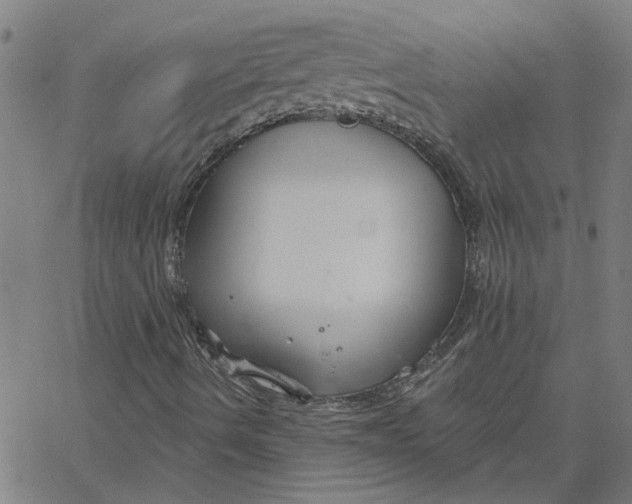 X0000067511490200604281555