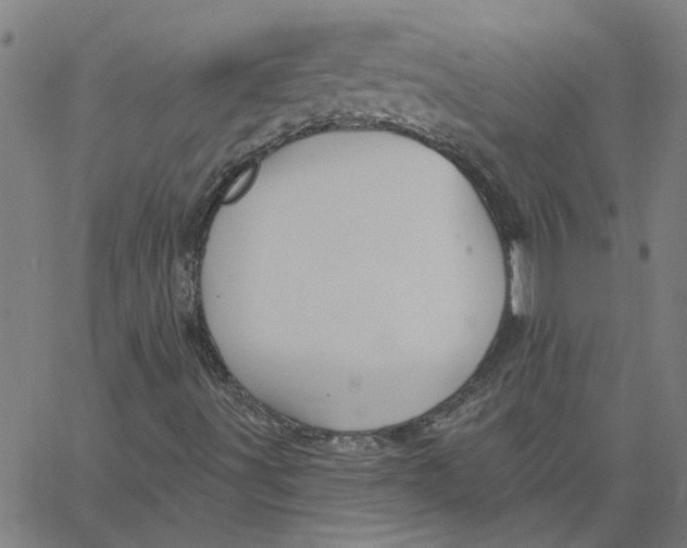 X0000067511491200604281555