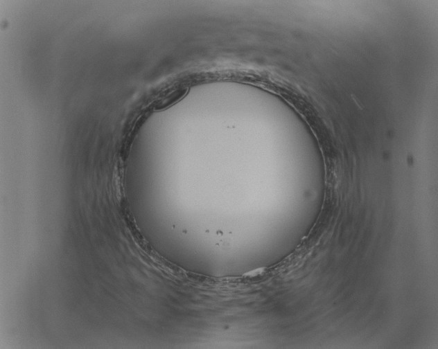 X0000067511493200604281555