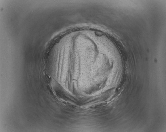 X0000067511494200604281555