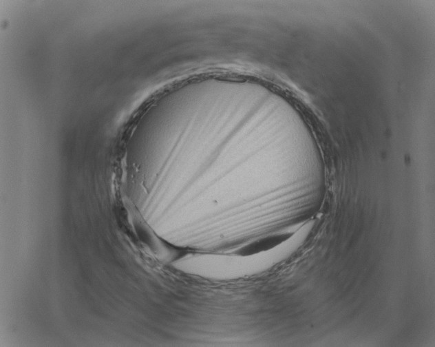 X0000067511496200604281555