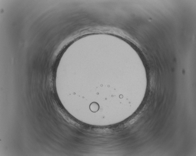 X0000067511498200604281555