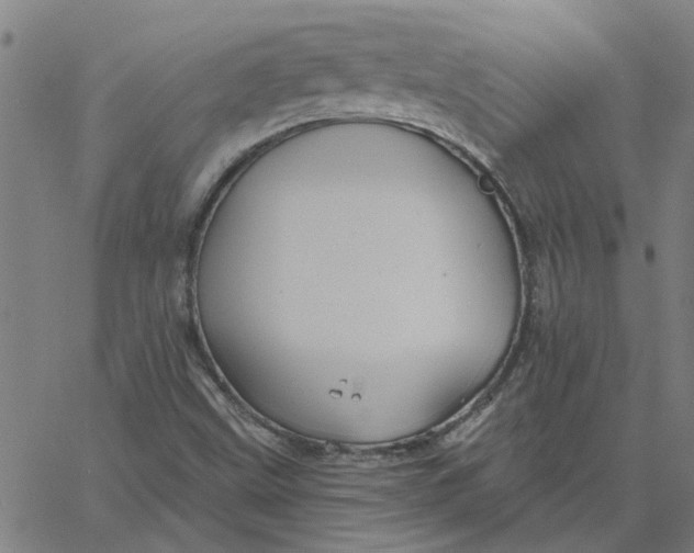 X0000067511499200604281555