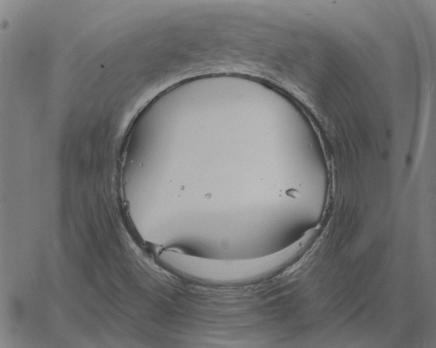 X0000067511500200604281555