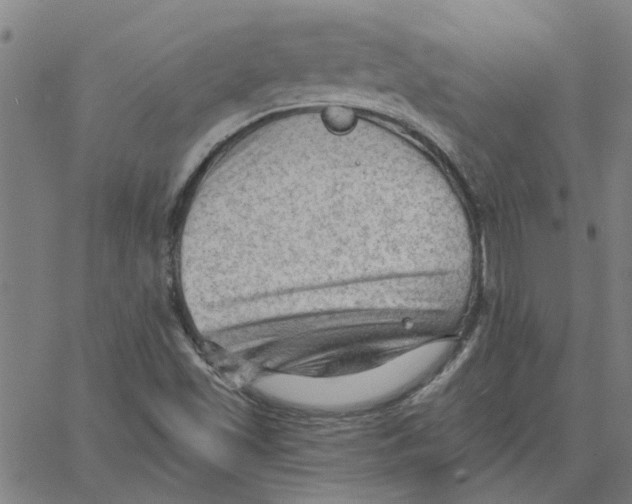 X0000067511501200604281555