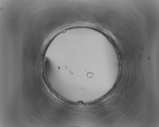 X0000067511504200604281555