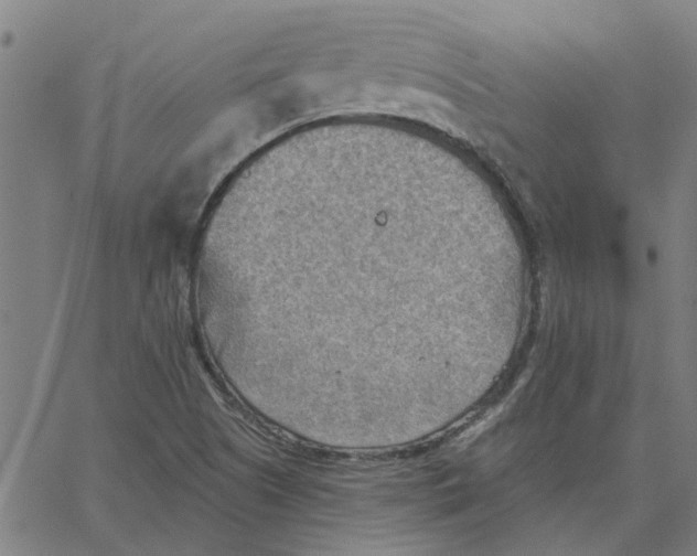 X0000067511505200604281555