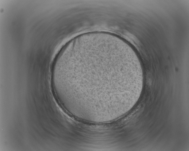 X0000067511508200604281555