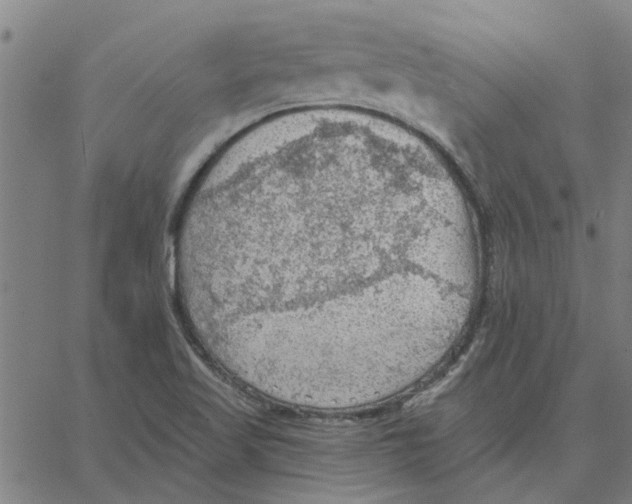 X0000067511509200604281555