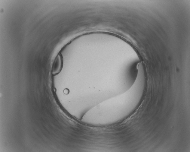 X0000067511512200604281555