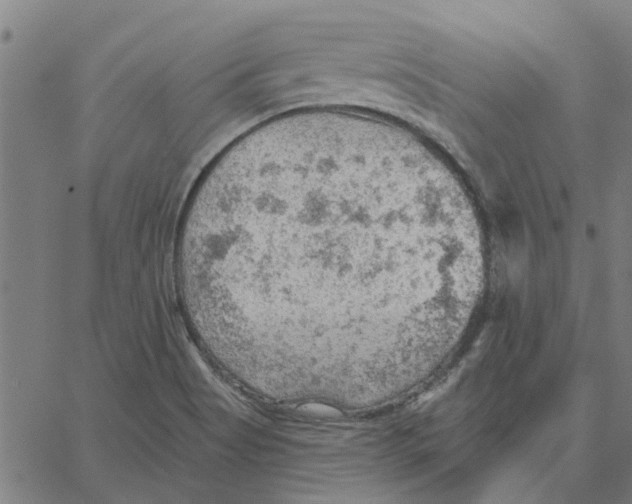 X0000067511513200604281555