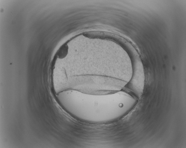 X0000067511514200604281555