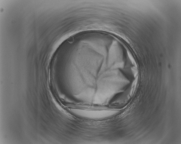 X0000067511515200604281555