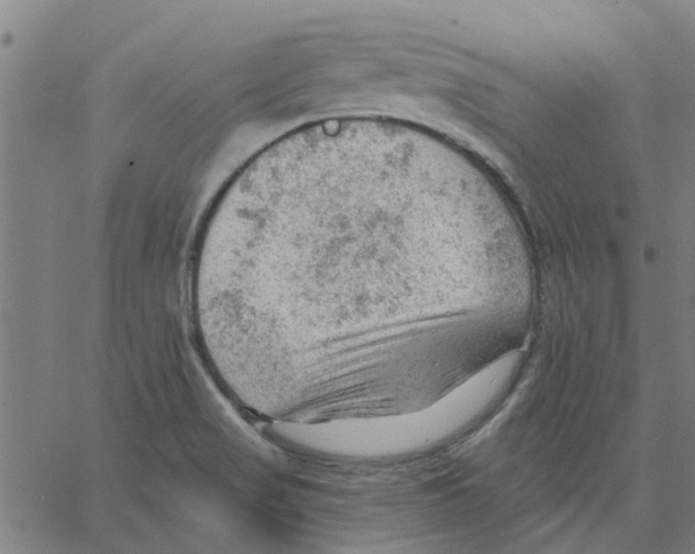 X0000067511517200604281555