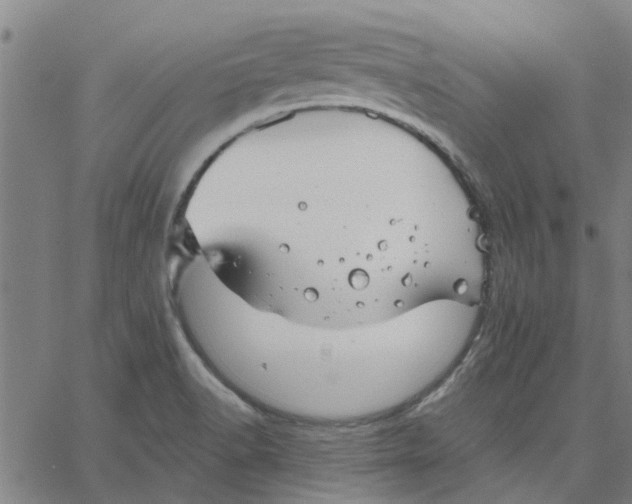 X0000067511518200604281555