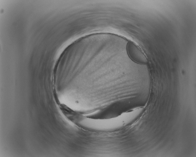 X0000067511519200604281555