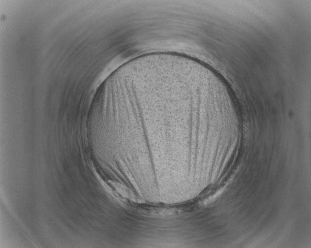 X0000067511521200604281555