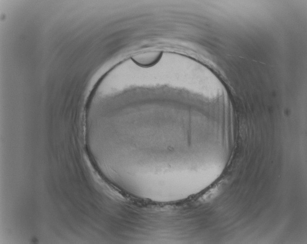 X0000067511522200604281555