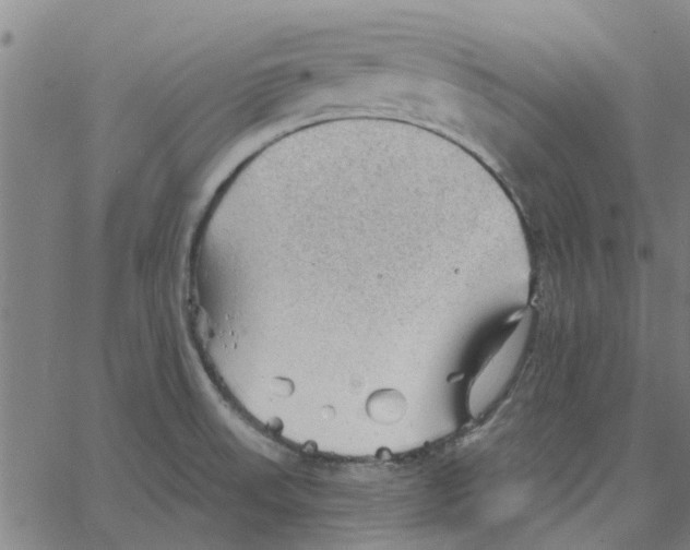 X0000067511523200604281555