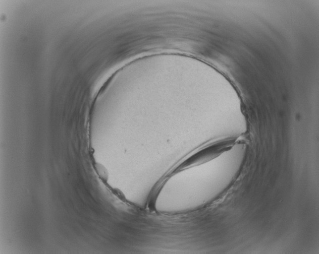 X0000067511524200604281555