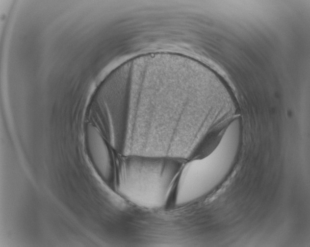 X0000067511525200604281555