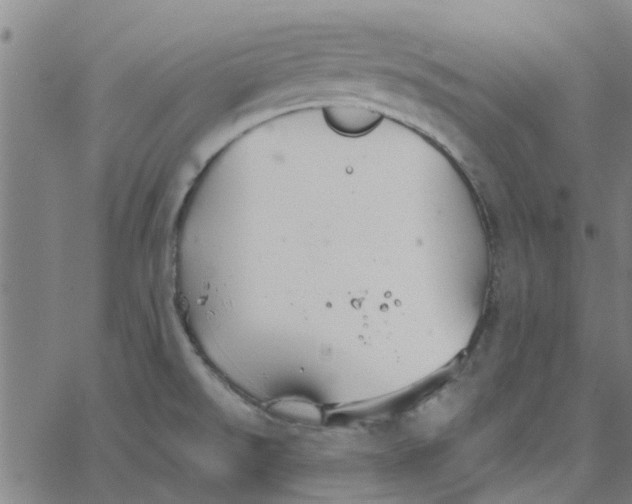 X0000067511526200604281555