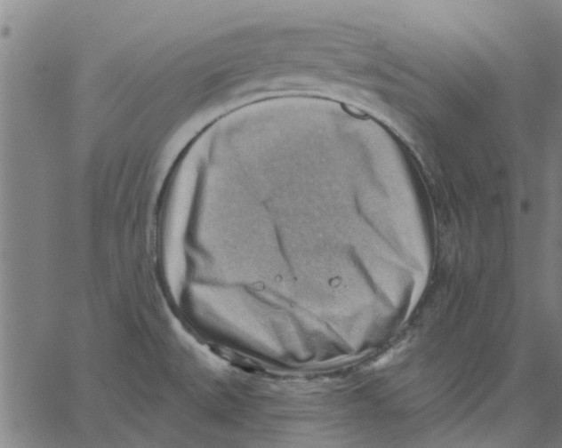 X0000067511527200604281555