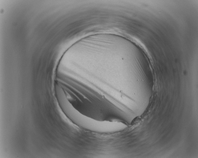 X0000067511528200604281555