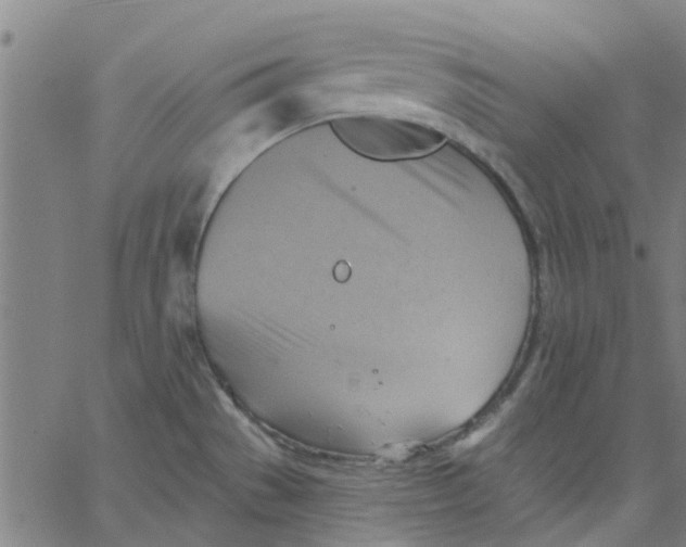 X0000067511529200604281555