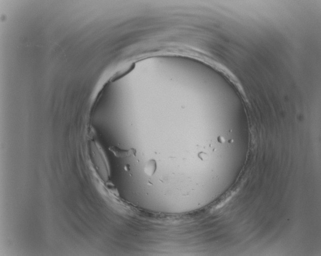 X0000067511530200604281555