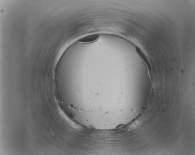 X0000067511532200604281555