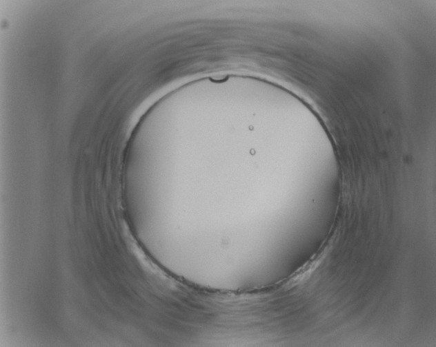 X0000067511534200604281555