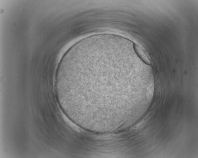 X0000067511535200604281555