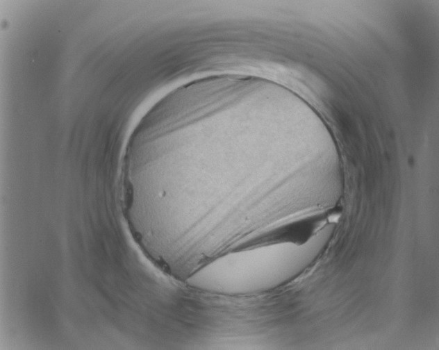 X0000067511536200604281555