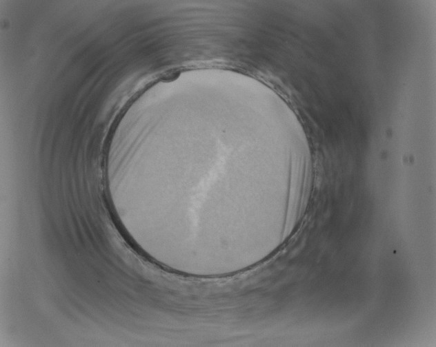 X0000067510002200605051841